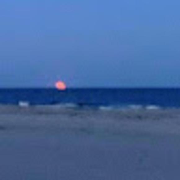 Meet your Posher, Alex - Picture 1 of 1